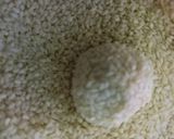 Foto langkah ke 4 dari resep Onde - Onde isi Kacang Hijau.