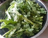雙味湯圓的食譜步驟1照片