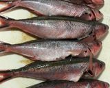 A picture of step 1 of Crispy Fried Small Fish - Filipino Style.