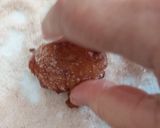 Foto del paso 6 de la receta: Buñuelos de Yogurt con Manzana