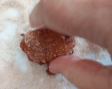Foto del paso 6 de la receta: Buñuelos de Yogurt con Manzana