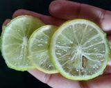 कीवी मॉकटेल (kiwi mocktail recipe in Hindi) रेसिपी चरण 3 फोटो