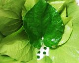 Hình bước làm 1 của món Chả lá lốt