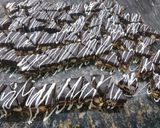 Foto del paso 5 de la receta: Barritas de maní