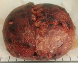 Foto langkah ke 19 dari resep Double Chocolate Sourdough Bread (Oven Tangkring).
