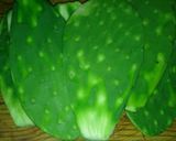 Foto del paso 1 de la receta: NOPALES RELLENOS EN CALDILLO A LA Mario's