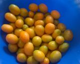Foto del paso 1 de la receta: Mermelada de kinotos