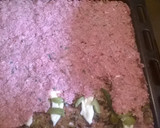 Foto del paso 4 de la receta: Quipes al horno relleno de cebolla y queso fresco