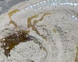 A picture of step 3 of Spiral Baati with Dal.