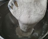 Foto del passaggio 2 della ricetta Pizza tipo Napoletana, pane casereccio con biga