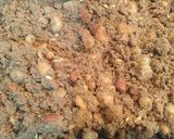 A picture of step 6 of Dry fruits Panjiri.