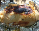 Foto del paso 8 de la receta: Matambre de cerdo arrollado a la parrilla