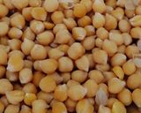 Foto del paso 7 de la receta: Ensalada de garbanzos con langostinos y mejillones