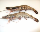 A picture of step 1 of How to Make Steamed Shrimp for Sushi.