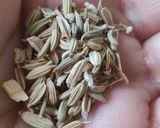 Foto del paso 1 de la receta: Cremoso vegano de orzo con hinojo