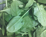 Foto del paso 1 de la receta: Ensalada de espinacas