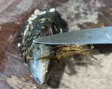 Foto del paso 1 de la receta: Paté de mejillones