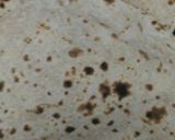 A picture of step 1 of Crunchi chapati stuff roll.