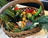 Une image de l'étape 2 de 🥗Salade estivale 🍅tomates cerises 🍒 basilic 🌿.