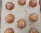 Foto langkah ke 7 dari resep Sourdough Hybrid Gandum Polos.