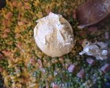 Une image de l'étape 4 de Risotto de coquillette, petits pois, jambon et Boursin®️.