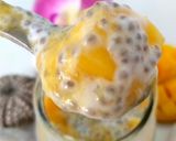 Une image de l'étape 3 de Pudding de chia au skyr et mangue.