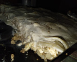 Foto del paso 10 de la receta: Lasaña con salsa blanca