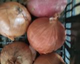 Paradicsomos Rizses húsgombóc recept fázis 4 fotója