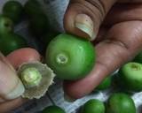 Gunda-Keri Aachar (Glue Berry And Mango Pickle) recipe step 1 photo