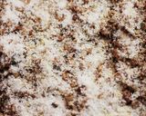 Natúr granola recept fázis 5 fotója