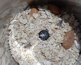 A picture of step 2 of Oats Almond Roti.