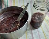 Foto del paso 8 de la receta: Mermelada multifrutas (sin azúcar)