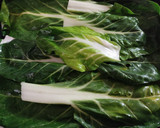 Foto del paso 1 de la receta: Lasaña de acelgas