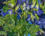 Foto langkah ke 1 dari resep Es Bunga Telang Daun Mint.