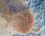 A picture of step 4 of Birds nest.
