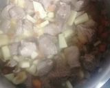 Foto del paso 3 de la receta: Guiso de pavo con manzana