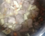 Foto del paso 3 de la receta: Guiso de pavo con manzana