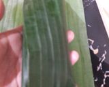 Foto langkah ke 7 dari resep Nasi Bakar Jamur Kenikir.