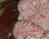 A picture of step 2 of Maghaz Masala or Brain Masala.