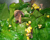 Foto del paso 6 de la receta: Ensalada de espinacas con tocino UTVCO