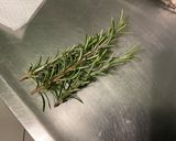 Une image de l'étape 4 de Chapon fermier aux herbes aromatiques farci cèpes et morilles.