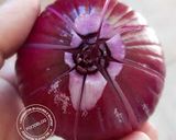 Foto del passaggio 2 della ricetta Fiore di cipolla rossa