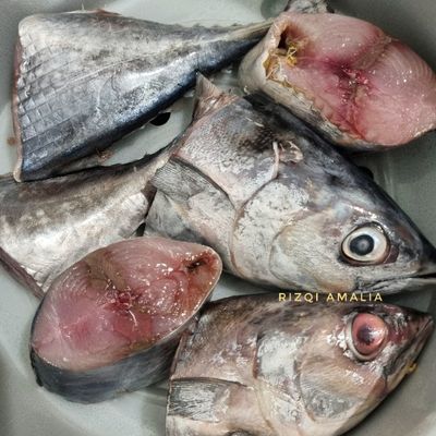 Langkah 5