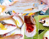 Hình bước làm 1 của món CÁ BÍ & TƯƠNG HỘT CHƯNG
