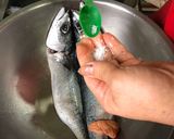 乾煎鯖魚的食譜步驟2照片