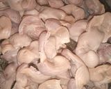 A picture of step 2 of Gizzard paper soup.