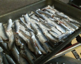 Foto del paso 3 de la receta: Lasaña fría de anchoas