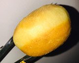 A picture of step 10 of Doughnut.