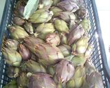 Foto del passaggio 1 della ricetta Carciofina Siciliana Bio (le mie conserve)