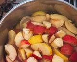 1308. Alma, szeder és birsalma leves 😋 recept fázis 3 fotója
